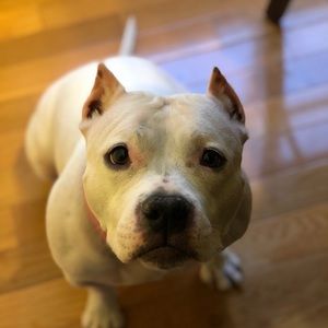 Meet your Posher, Jillian